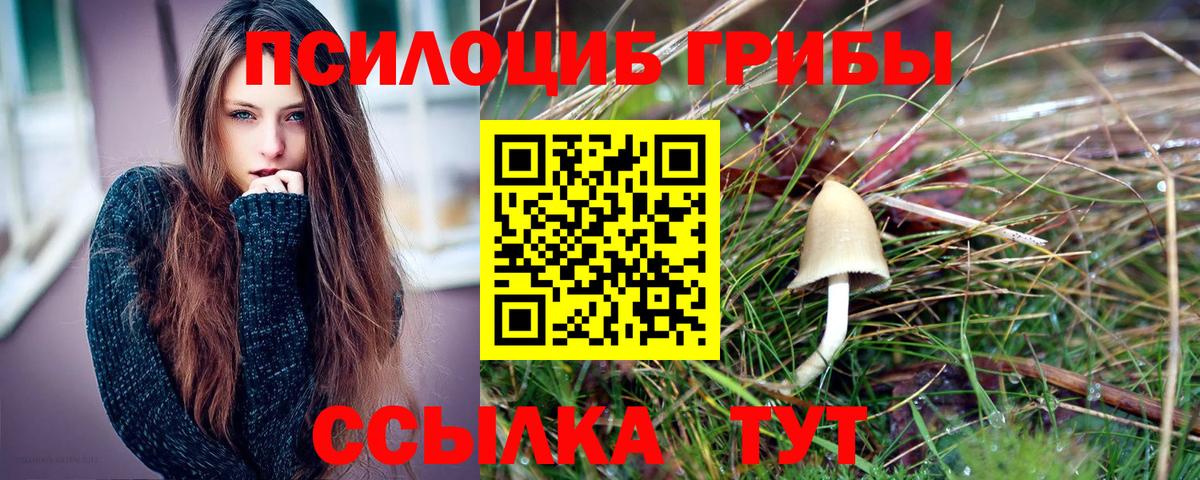 Псилоцибиновые грибы MAGIC MUSHROOMS Уфа