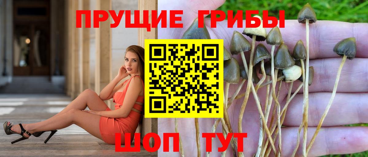 Псилоцибиновые грибы Magic Shrooms  Вход с VPN  Уфа  Галлюциногенные грибы Cubensis 